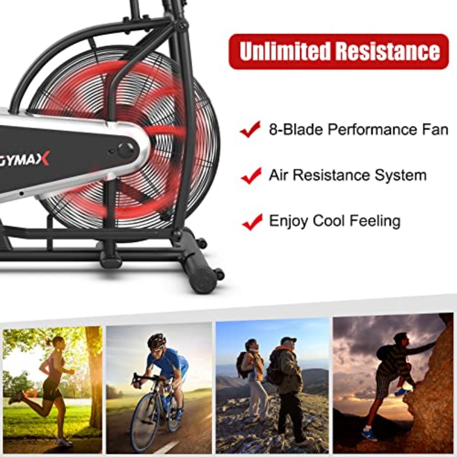 Home gym cardio training: fan  - Phone Holder recension och pris